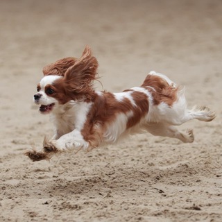 welcome to forever | agility