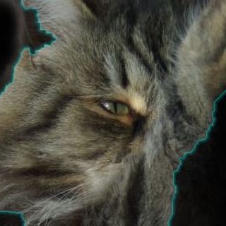 ЧерноВики Экзорциста