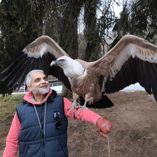 Мысли шахматиста