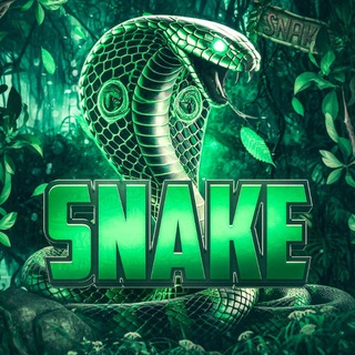 Chicago | Snake | Standoff2