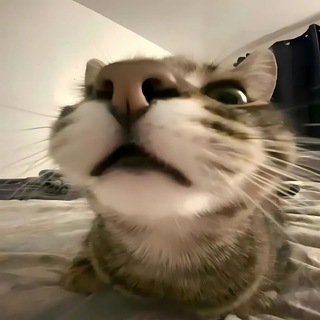 2-й канал на всякий случай