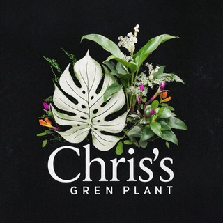 Chris's Green Plant🌱