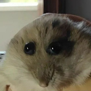 [Архив] 𝑪𝒉𝒓𝒐𝒏𝒊𝒄𝒍𝒆𝒔 𝒐𝒇 𝑭𝒆𝒂𝒓