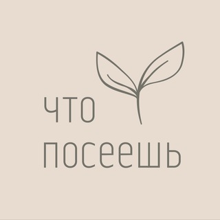 ЧТО ПОСЕЕШЬ маркет