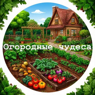 Огородные Чудеса 🌱