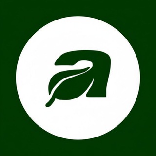 Чистый Актив | Инвестиции