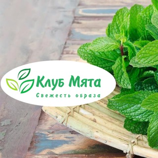 🅚луб 🅜я🅣🅐 🌿