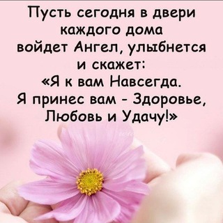 Мастер Сюцай