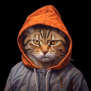 КОТаКЛИЗМа