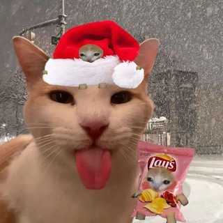 COXTER x Minecraft 🥶❄