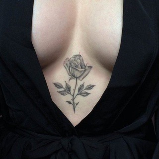 Сливы CrazyAleona ShyAlya Crazy Aleona Shy Alya