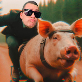 Крымский Ёжик