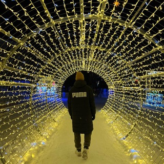 𝐂𝐫𝐢𝐩𝐭𝐨-𝐆𝐮𝐧 | Крипта | Проекты