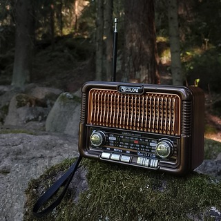 Cross-Geo Radio | Глазами инженера-геолога