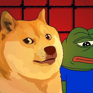 Сатоши в шоке