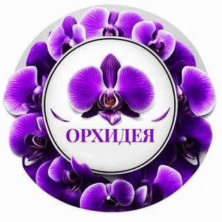 Цветы Нефтекамск | Орхидея