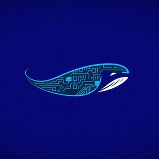 CyberWhale