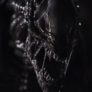 ༒𝐃𝐀𝐆𝐎𝐍