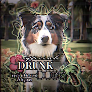 𝑫𝑹𝑼𝑵𝑲_𝑫𝑶𝑮𝑺ᵒᶠᶠ