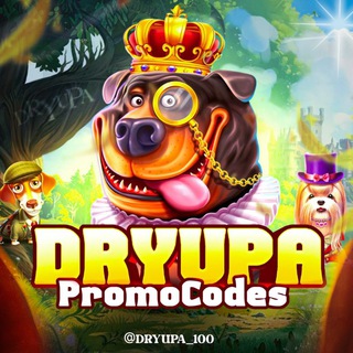 DRYUPA Промокоды
