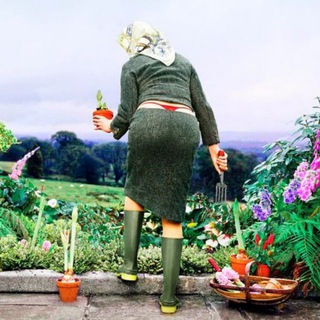 Дачный беспредел