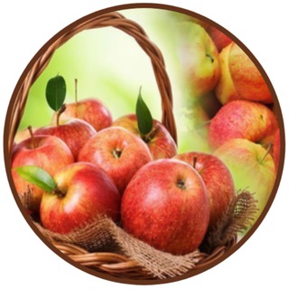 Дачный форум