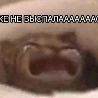 девчачье собраньице