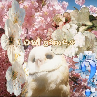 [ПЕРЕЕЗД]🐚 ꒰ Owl game.𖹭