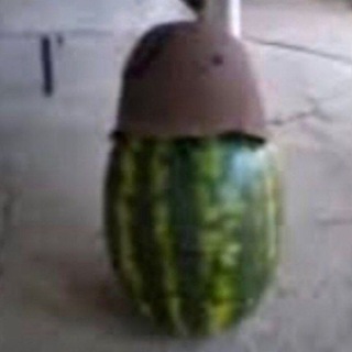 Арбузное королевство🎅/ исторические личности🎅