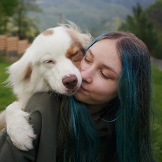 ✨Логово комфортных🐾