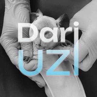 DariUZI