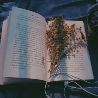 𝓓𝓪𝓻𝓴 𝓣𝓮𝓶𝓹𝓽𝓪𝓽𝓲𝓸𝓷𝓼📚