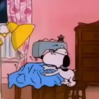 Даша Дружочек