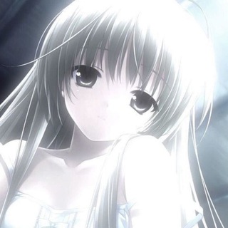 Дайтона Со2