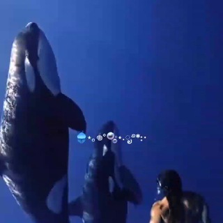 Природа!♡♡