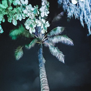 DeepFX (Deep House Music)