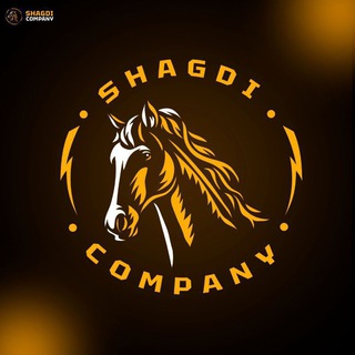 Мужская Обувь 🇹🇷