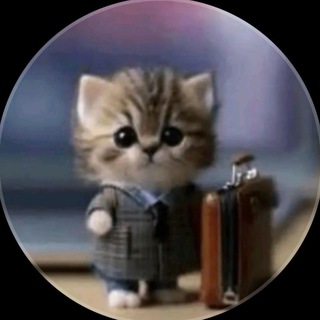 DerNita бредятина всякая