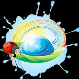 Детский сад «Росинка» с.Сокол