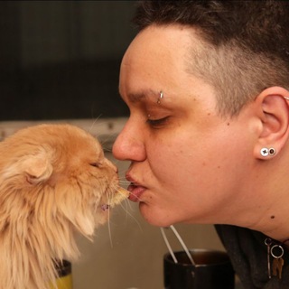 Девять Жизней