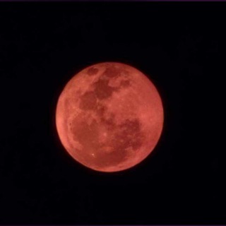 ✨Guardiani Dei Triades