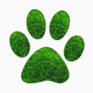 ЖИВАЯ ПЛАНЕТА 🦥