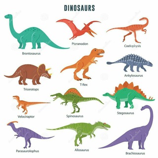 Динозавры для детей!🦖
