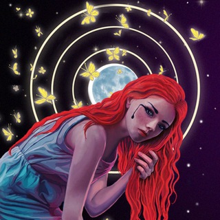 Книги Дианы Ибрагимовой⚖️🦋🍃