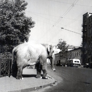 Весь такой Мещанский