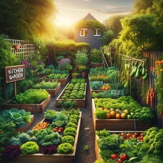 Дом, дача, диво-урожай