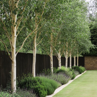 Идеи Дизайна