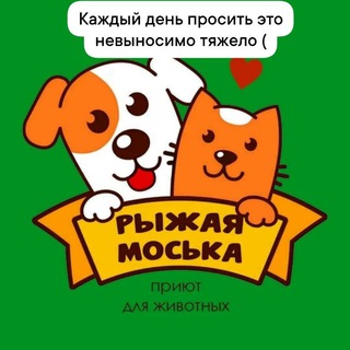 "РЫЖАЯ МОСЬКА" помощь животным, содержание, кормление, социализация. Нам нужна поддержка людей, спонсоров, организаций #репост
