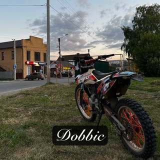 DOBBi