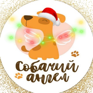 «Собачий ангел» г.Анапа Помощь бездомным животным.